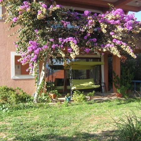 Apartman Lavanda Kali Dış mekan fotoğraf